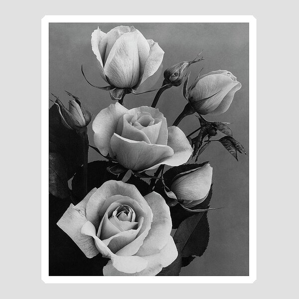 Roses #1 Sticker