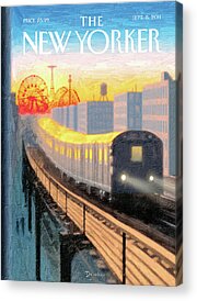 2011 Acrylic Prints