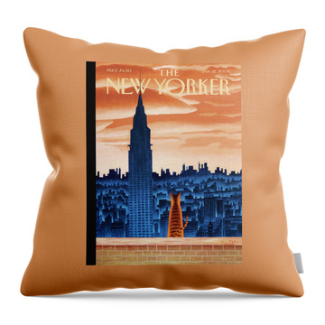 New York City Throw Pillows
