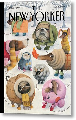 2010 Metal Prints