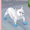 Blue Dog