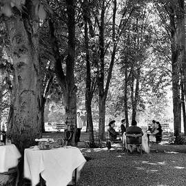 A Group Of People Eating Lunch Under Trees by Luis Lemus