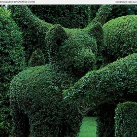A Topiary Bear In Alice Braytons Green Animals by Horst P. Horst
