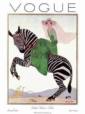 Animal Art Prints