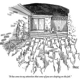 An Assembly Of Cats In A Backyard Led By Three by Shannon Wheeler