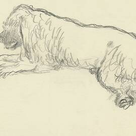 An Illustration Of A Dog by Carl Oscar August Erickson