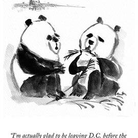 Before the 2024 Election by Mary Lawton