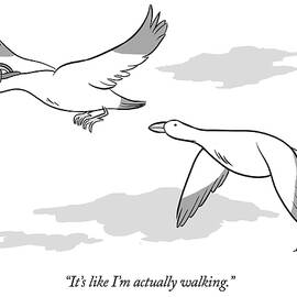 Bird wearing virtual reality goggles by Ellis Rosen