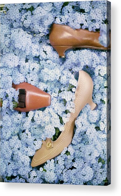 Brown Shoes In Bed Of Blue Flowers Acrylic Print