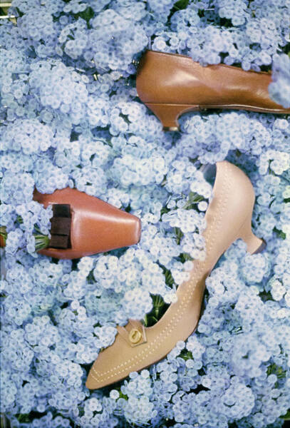 Brown Shoes In Bed Of Blue Flowers Art Print