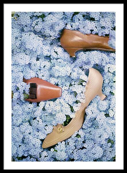 Brown Shoes In Bed Of Blue Flowers Framed Print