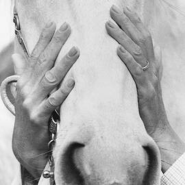 Conchita Cintron Holding The Head Of A Horse by Henry Clarke