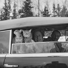 Couple In Car With Cats by Herbert Matter