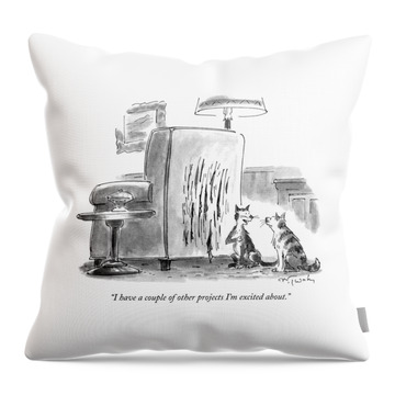I Have A Couple Of Other Projects I'm Excited Throw Pillow