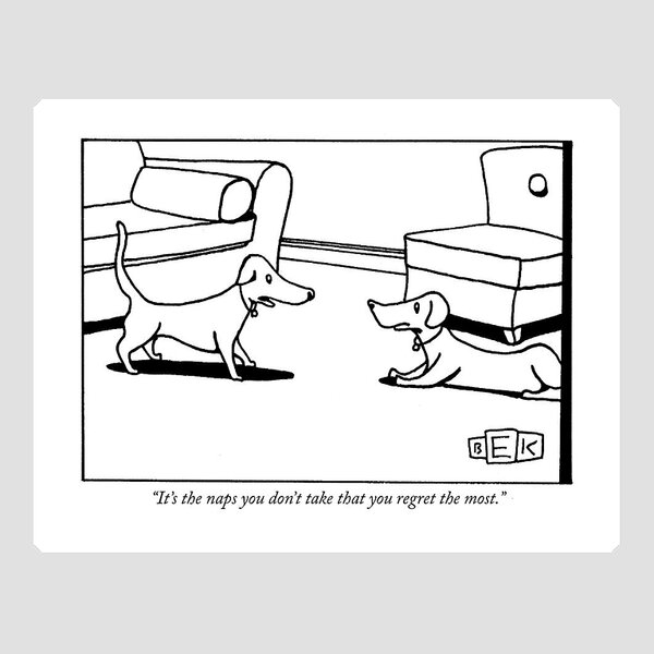 It's The Naps You Don't Take That You Regret Sticker
