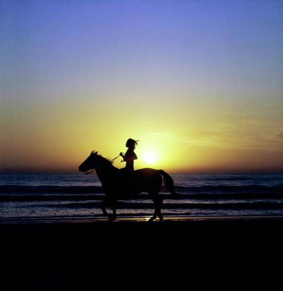 Margaux Hemingway On Horseback Art Print