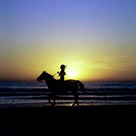 Margaux Hemingway on Horseback by Francesco Scavullo