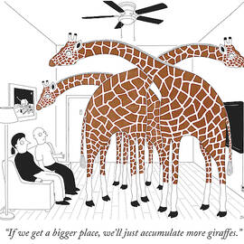 More giraffes by Seth Fleishman