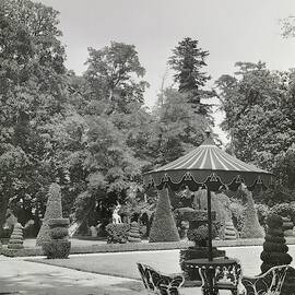 Patio In Garden At Versailles by Robert Randall