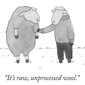 Raw unprocessed wool by Amy Hwang