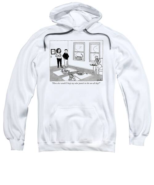 Solar Panels In The Sun All Day Sweatshirt