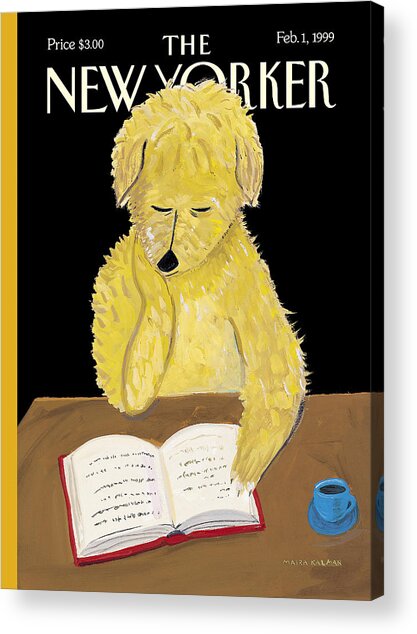 The New Yorker Cover - February 1, 1999 Acrylic Print