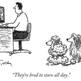 They're Bred To Stare by Mike Twohy