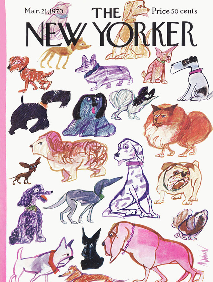 Animals