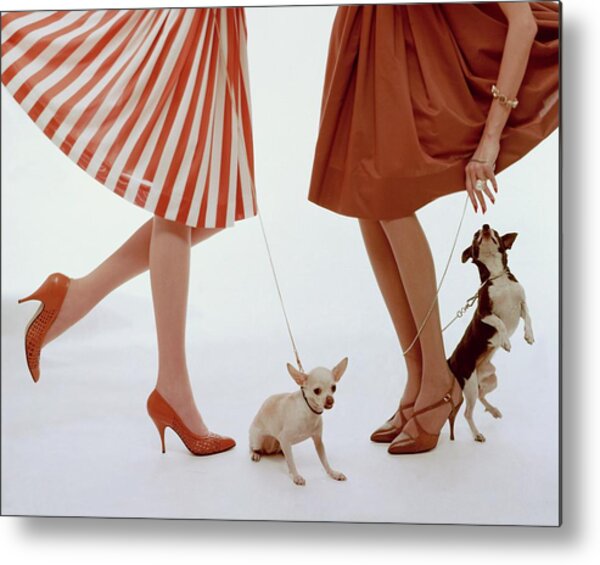 Two Models With Dogs Metal Print