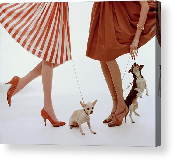 Two Models With Dogs Acrylic Print