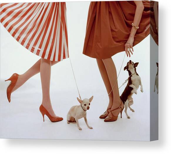 Two Models With Dogs Canvas Art Print by William Bell