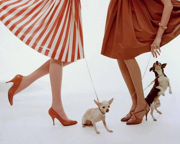 Two Models With Dogs Art Print