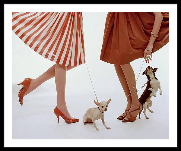 Two Models With Dogs Framed Print