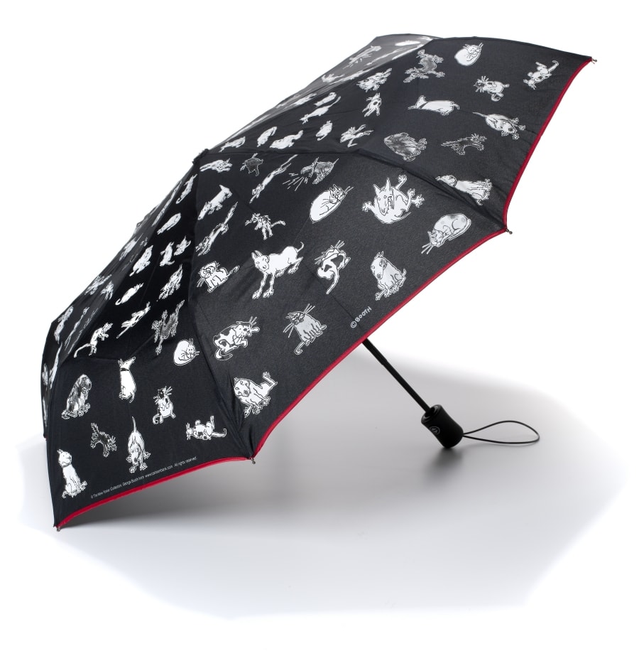 Umbrellas