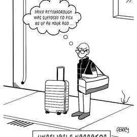 Unreliable Narrator by Tadhg Ferry