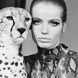 Veruschka With Cheetah by Franco Rubartelli