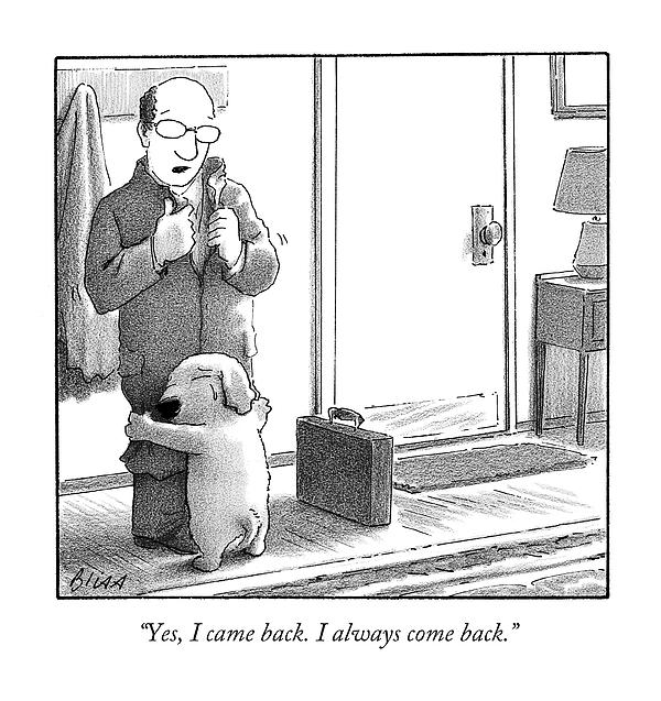 Dog Art
