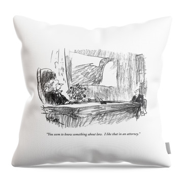 You Seem To Know Something About Law.  I Like Throw Pillow