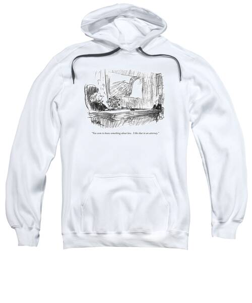 You Seem To Know Something About Law.  I Like Sweatshirt